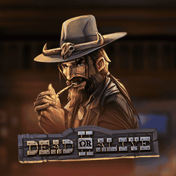 Dead or Alive 2 Slot Review