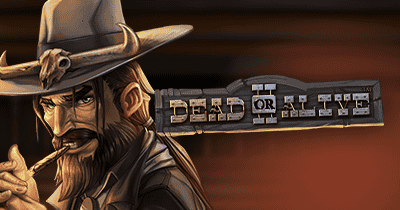 Dead or Alive 2 Slot Review