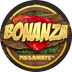 Bonanza Slot Review