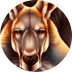 Kanga Cash Extra